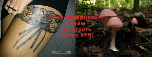 дживик Сосновоборск