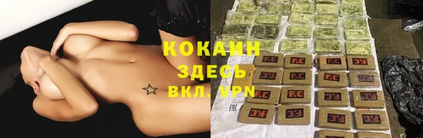 ПСИЛОЦИБИНОВЫЕ ГРИБЫ Вязники