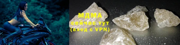 прущие грибы Вязьма