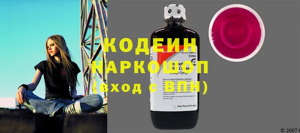 хмурый Верея