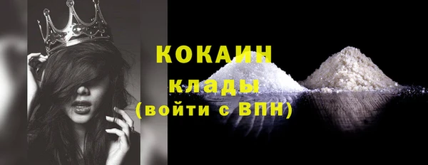 хмурый Верея