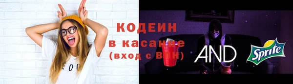 ПСИЛОЦИБИНОВЫЕ ГРИБЫ Вязники