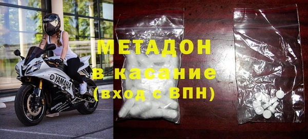 прущие грибы Вязьма