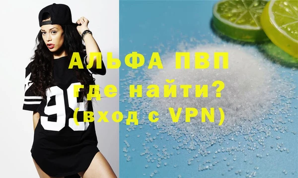 хмурый Верея