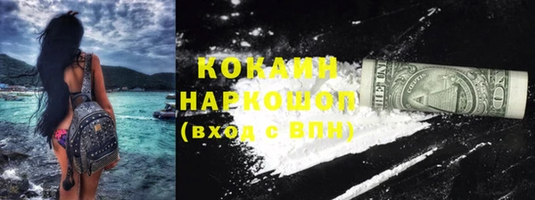 ПСИЛОЦИБИНОВЫЕ ГРИБЫ Вязники