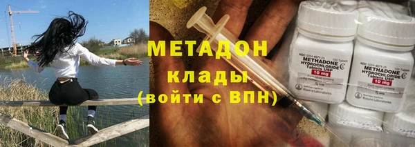 прущие грибы Вязьма