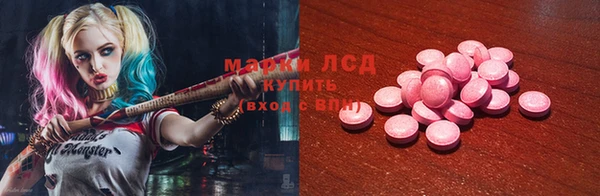 прущие грибы Вязьма