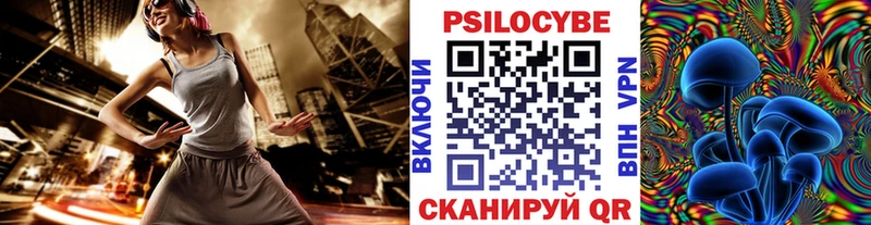 Псилоцибиновые грибы Cubensis  магазин продажи   OMG ссылка  Иланский 